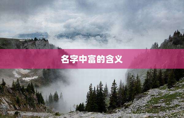 名字中富的含义