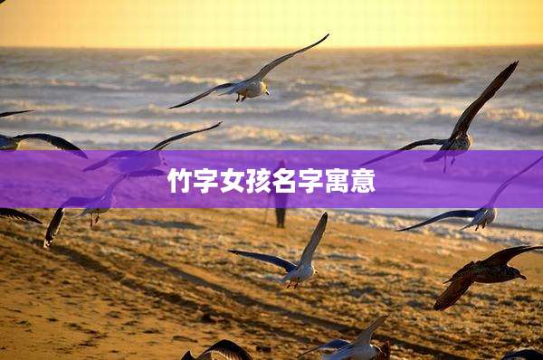 竹字女孩名字寓意