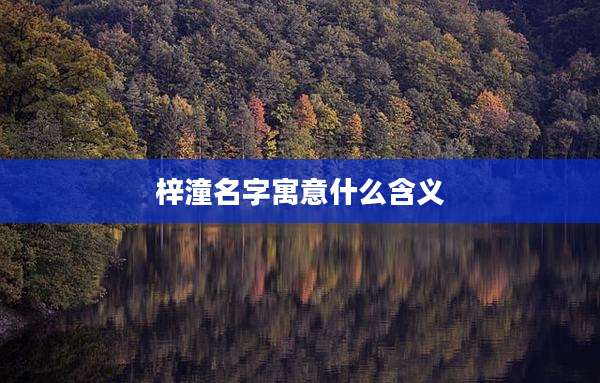 梓潼名字寓意什么含义