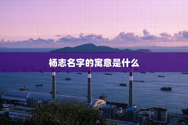 杨志名字的寓意是什么