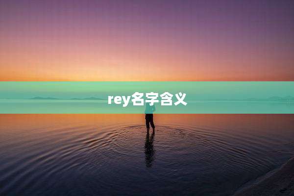 rey名字含义