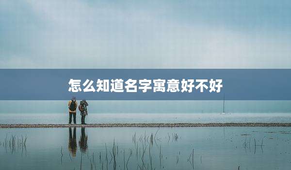 怎么知道名字寓意好不好