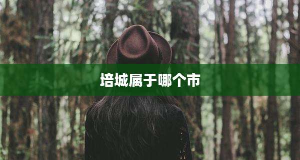 培城属于哪个市