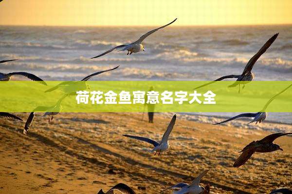 荷花金鱼寓意名字大全