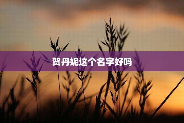 贺丹妮这个名字好吗