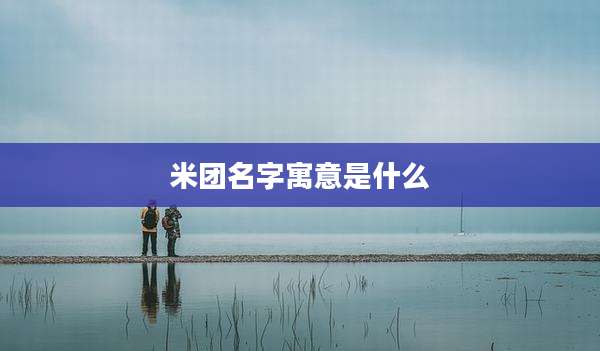 米团名字寓意是什么