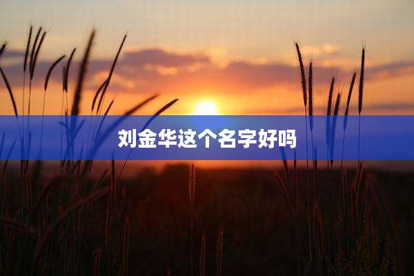 刘金华这个名字好吗