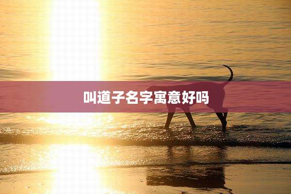 叫道子名字寓意好吗