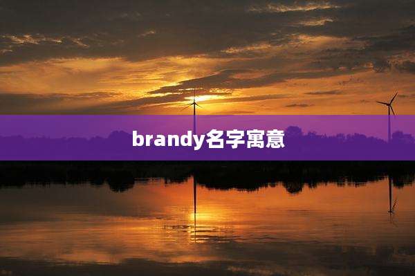 brandy名字寓意