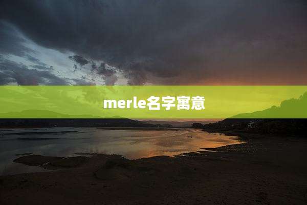 merle名字寓意