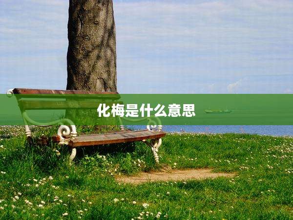 化梅是什么意思