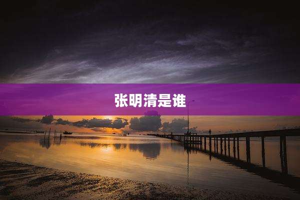 张明清是谁
