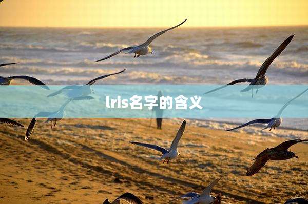 lris名字的含义