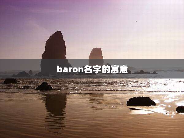 baron名字的寓意