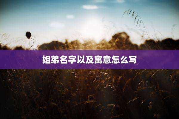 姐弟名字以及寓意怎么写