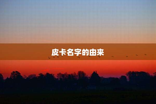 皮卡名字的由来