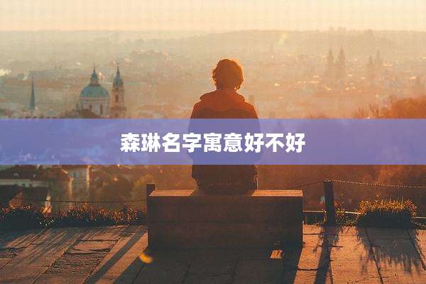 森琳名字寓意好不好