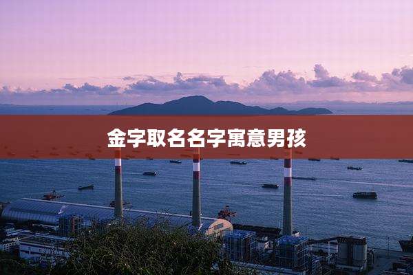 金字取名名字寓意男孩