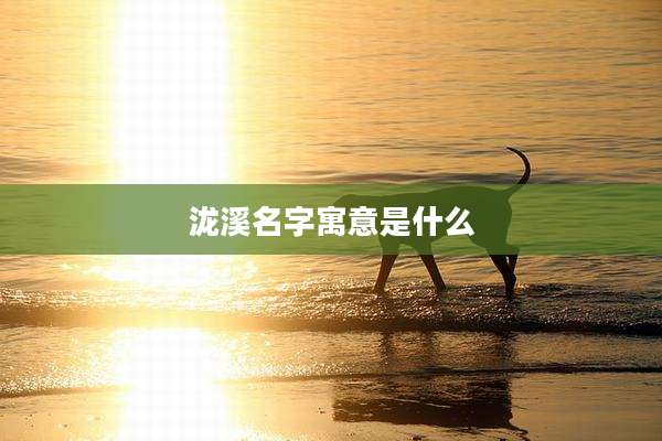 泷溪名字寓意是什么