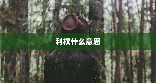 利权什么意思