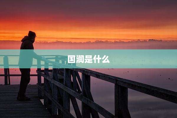 国润是什么