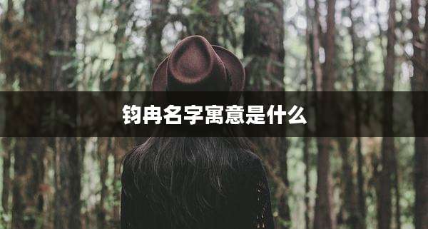 钧冉名字寓意是什么