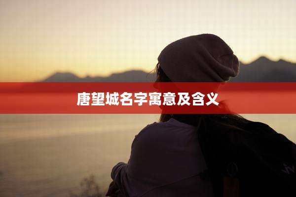 唐望城名字寓意及含义