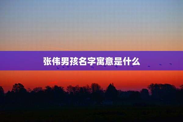 张伟男孩名字寓意是什么