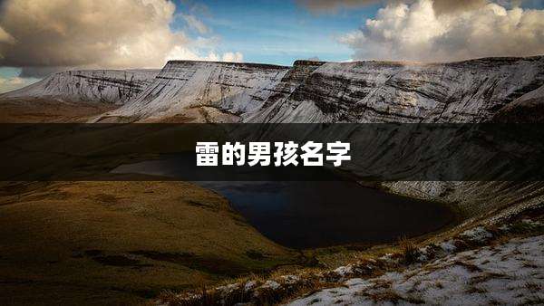 雷的男孩名字