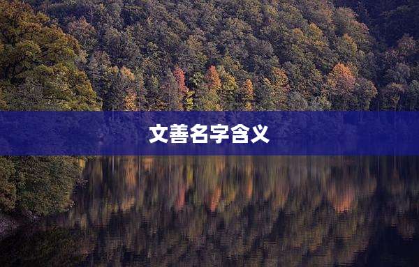 文善名字含义