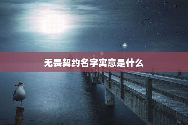 无畏契约名字寓意是什么