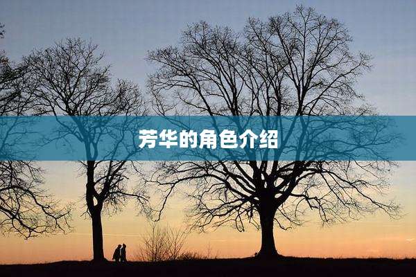 芳华的角色介绍