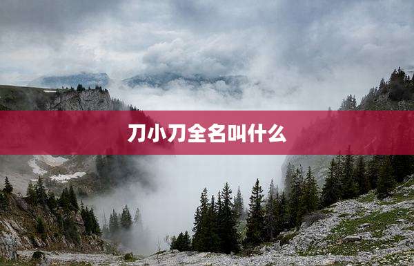 刀小刀全名叫什么
