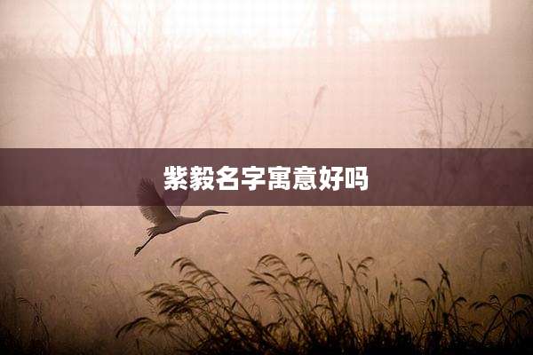 紫毅名字寓意好吗