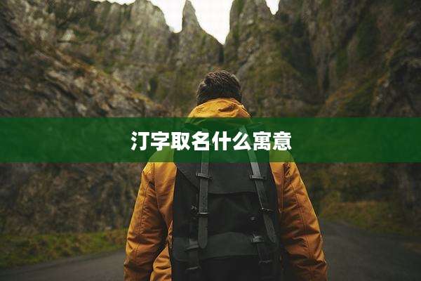 汀字取名什么寓意