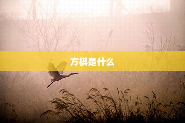 方棋是什么