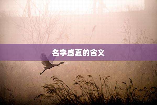 名字盛夏的含义