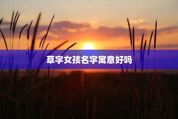 草字女孩名字寓意好吗
