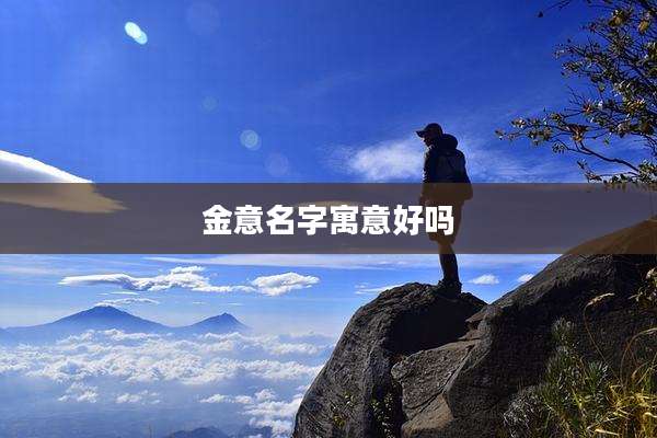 金意名字寓意好吗