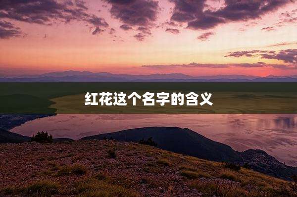 红花这个名字的含义