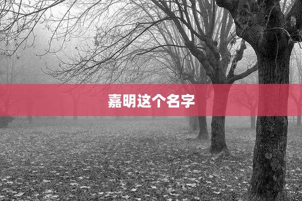 嘉明这个名字