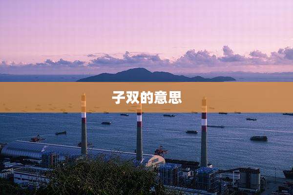子双的意思