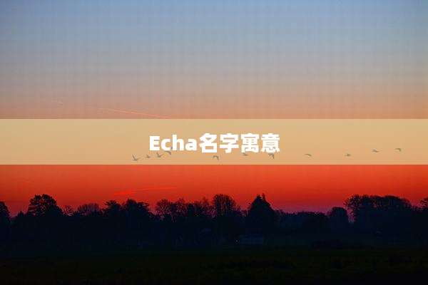 Echa名字寓意