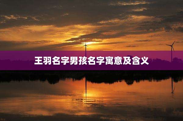 王羽名字男孩名字寓意及含义