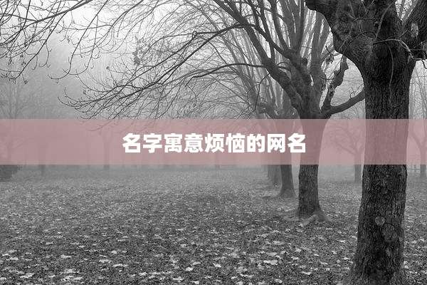名字寓意烦恼的网名
