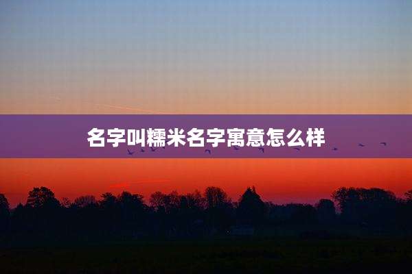 名字叫糯米名字寓意怎么样