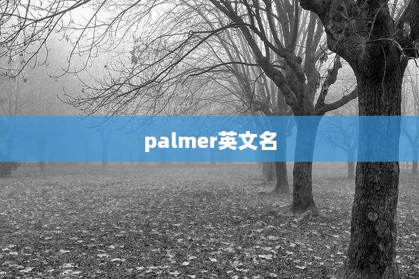 palmer英文名