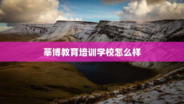 莘博教育培训学校怎么样