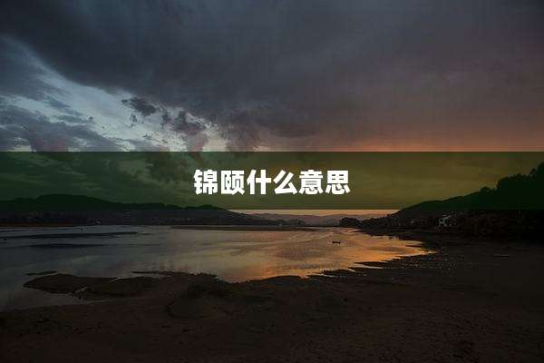 锦颐什么意思