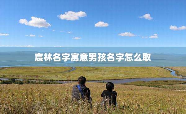 宸林名字寓意男孩名字怎么取